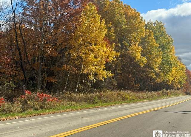 Property at 0 Rt-83, Arkwright, NY 14063