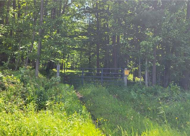 Property at 0 Nunda-byersville Rd, West Sparta, NY 14437