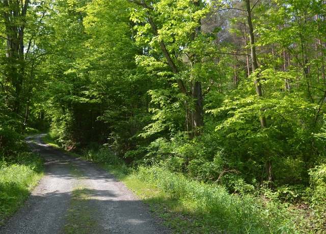 Property at 0 Caton Rd, Caton, NY 14830