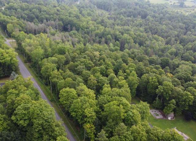 Property at 0 Aurora Dr, Norwich-city, NY 13815