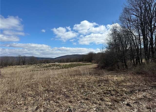Property at 231 Prattsburg Rd, Italy, NY 14512