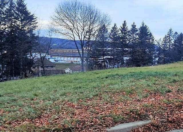 Property at 195 Greeley Ave, Hornell, NY 14843