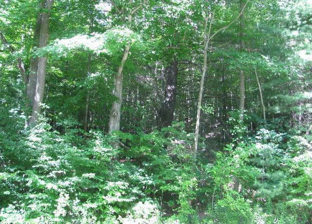Property at 62054 State Route 415, Cohocton, NY 14826