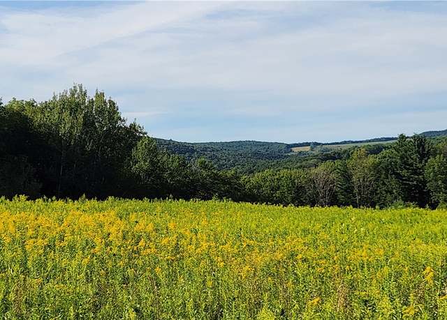 Property at 0 Hardknocks Rd, Unadilla, NY 13849