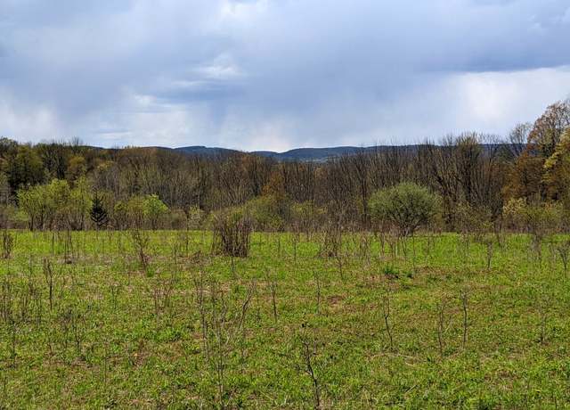 Property at Lot #37.01 County Highway 4, Morris, NY 13808
