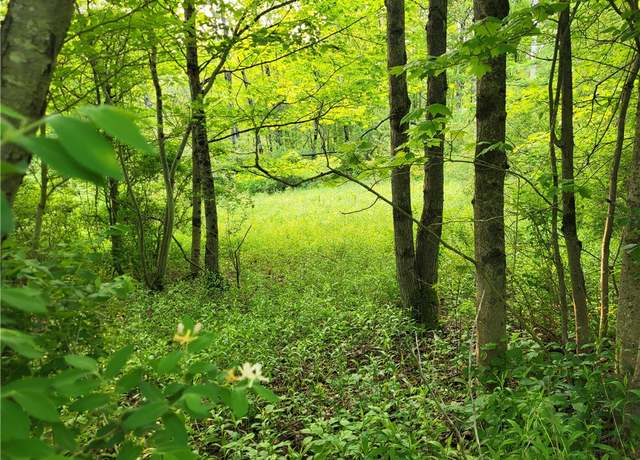 Property at Lot 14.1 Joe Rd, Lincklaen, NY 13155