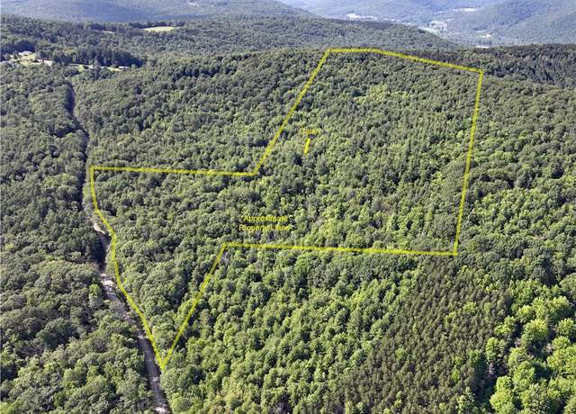 Property at 0 Park Hill Rd, Van Etten, NY 14838