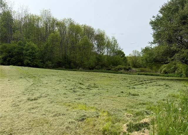 Property at 0 Mapledale Rd, Bridgewater, NY 13318