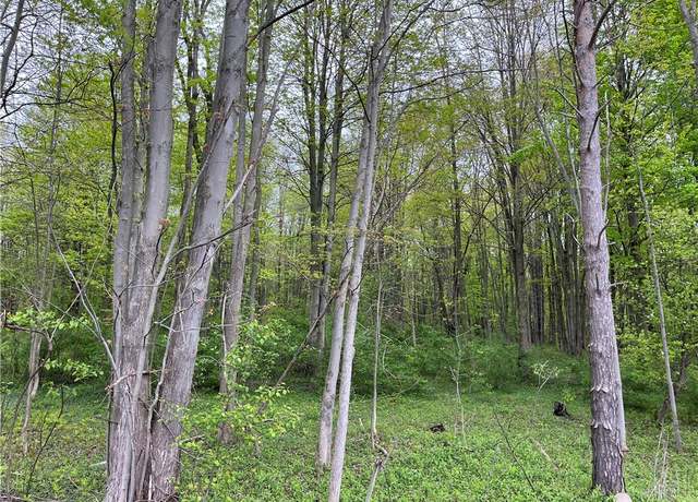 Property at Old State Rd #104, Sterling, NY 13156