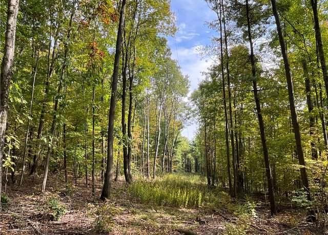 Property at Thayer Rd, Erin, NY 14838