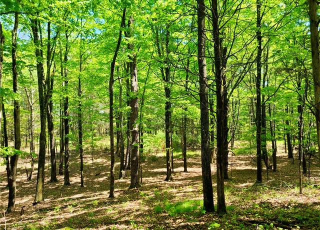 Property at 221 South Rd, Kingston (town), NY 12401
