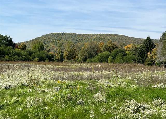 Property at Chambers Rd, Big Flats, NY 14845