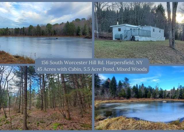 Property at 156 S Worcester Hill Rd, Harpersfield, NY 12093
