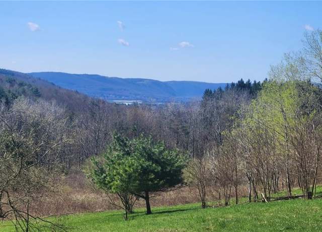 Property at Mcfail Rd, Catlin, NY 14845