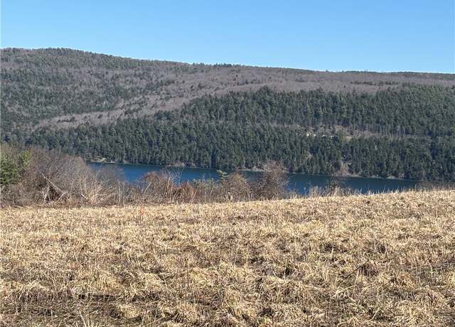 Property at 0 County Highway 28, Otsego, NY 13326