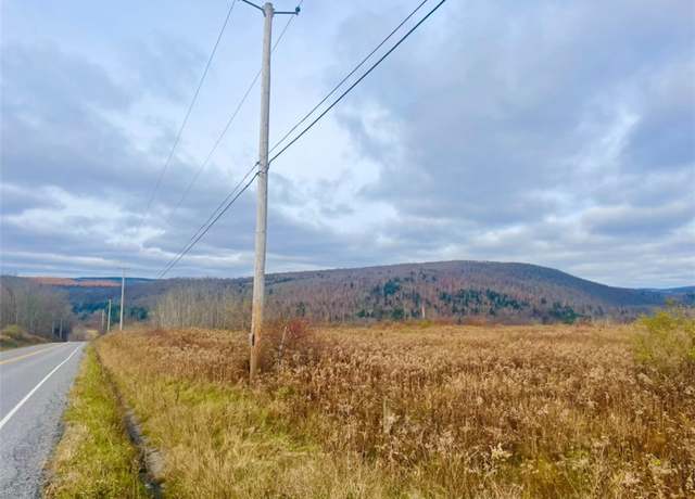 Property at 0 County Road 42, Pharsalia, NY 13155