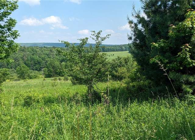 Property at Hubbard Hill Rd, Maryland, NY 12116