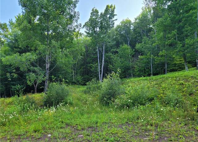 Property at Lot #19 Brush Hollow Rd, Bovina, NY 13740