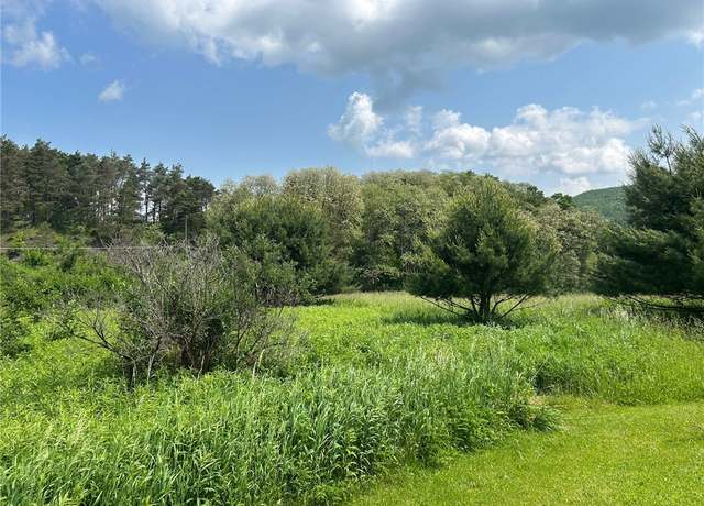 Property at 0 Clark Rd Ext, Almond, NY 14803
