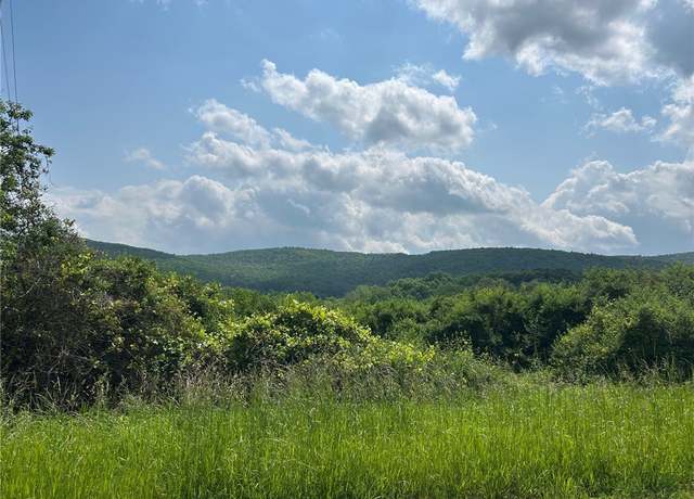 Property at 0 Clark Rd Ext, Almond, NY 14803