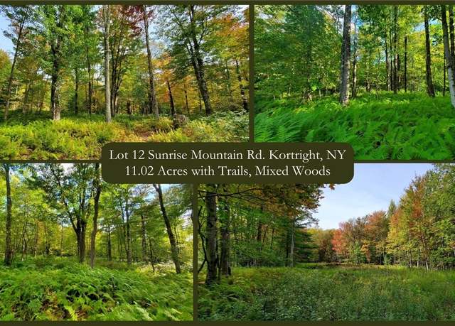Property at Lot 12 Sunrise Mt Rd, Kortright, NY 13739