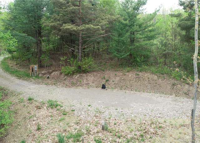 Property at 0 County Road 12, Naples, NY 14512