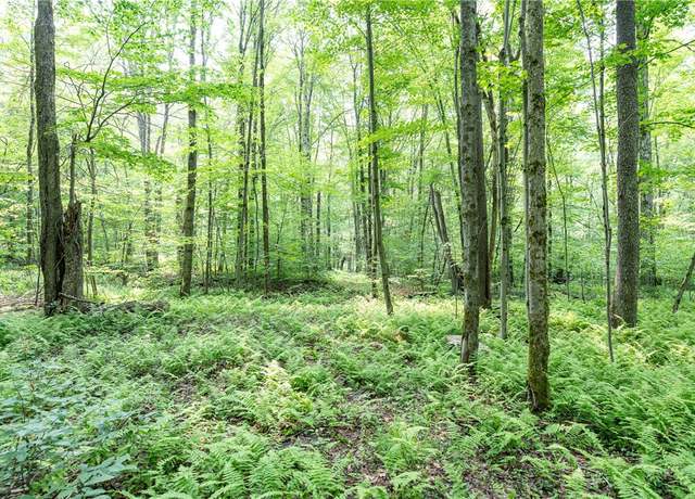 Property at Stanley Campbell Rd, Delhi, NY 13753