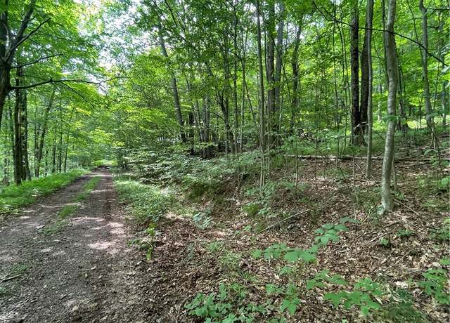 Property at 109.-4-9 W Highland Rd, Stamford, NY 13788