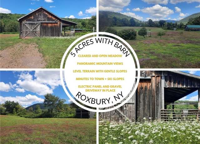 Property at 0 Roxbury-stratton Falls Rd, Roxbury, NY 12474