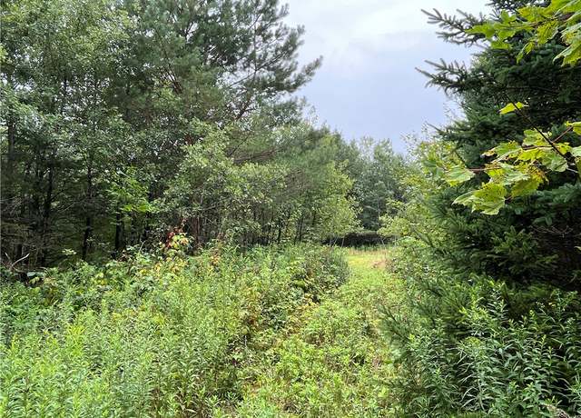 Property at 00 Level Green Rd, Caroline, NY 13736