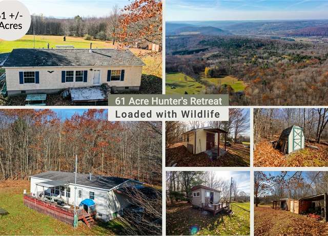 Property at 1305 Vandervort Hill Rd, Sidney, NY 13849, 3 beds, 2 baths