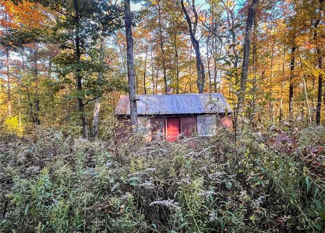 Property at 4474 Mark Smith Rd, Hector, NY 14841