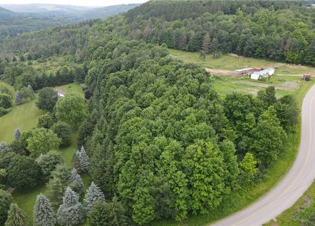 Property at 0 Hornell Reservoir Rd, Fremont, NY 14843