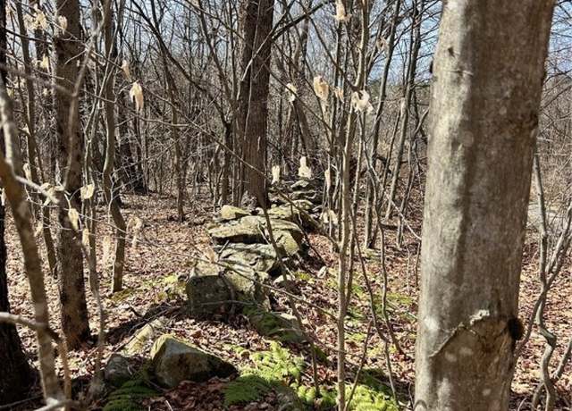 Property at South Rd, Plymouth, NY 13832