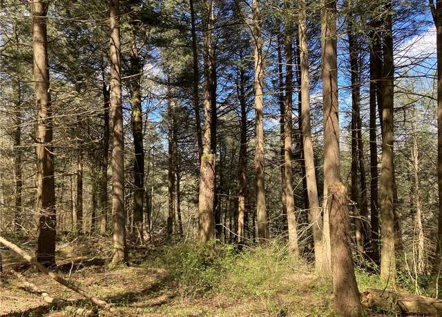 Property at 0 E Boulder Mountain Rd E, Andes, NY 13731
