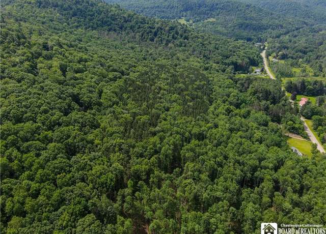 Property at 738 Four Mile Rd, Allegany, NY 14706