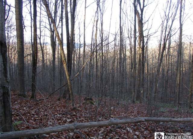 Property at Off Jackson Hill Rd, Cuba, NY 14727
