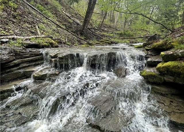 Property at 0 Ruttin Rd Rd, Scio, NY 14880