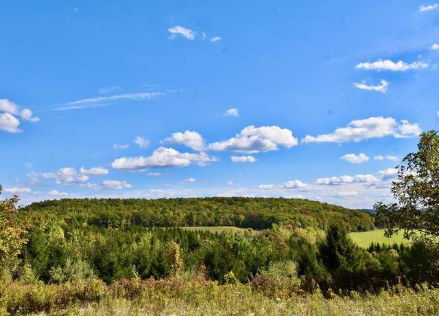 Property at 1980 County Rt. 81, Addison, NY 14801