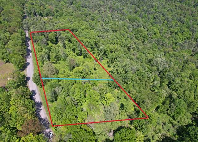Property at 0 Cemetery Hill Rd, Oneonta-town, NY 13820