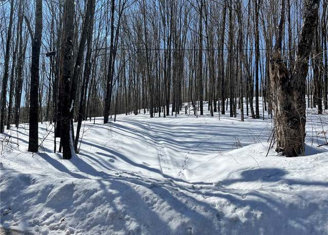 Property at 0 Freer Hollow Rd, Franklin, NY 13775