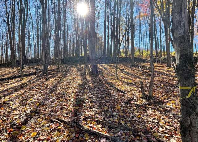 Property at 0 Freer Hollow Rd, Franklin, NY 13775