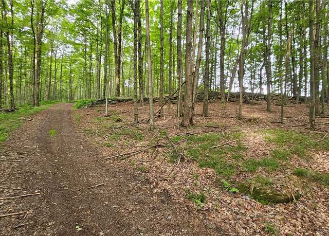 Property at 0 Freer Hollow Rd, Franklin, NY 13775