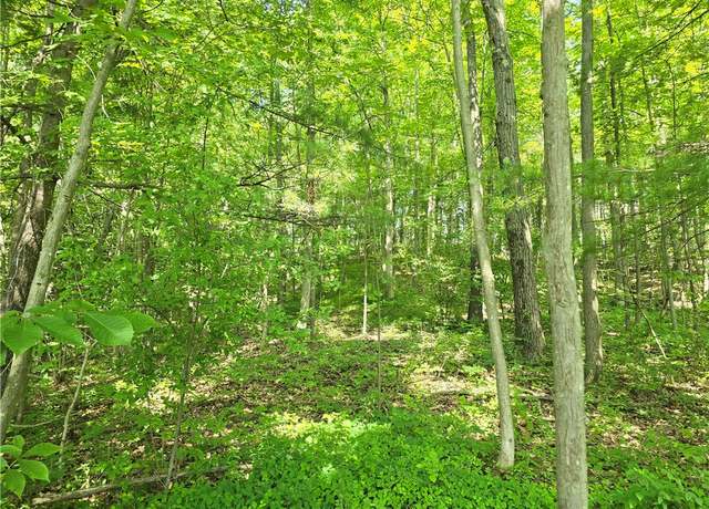 Property at 0 Warren Rd, Middlesex, NY 14507