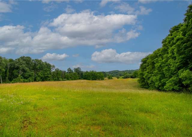 Property at VL County Rd 14, West Bloomfield, NY 14475