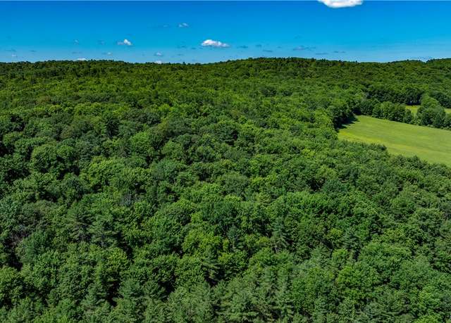 Property at Lower Ravine Rd, Norwich, NY 13815