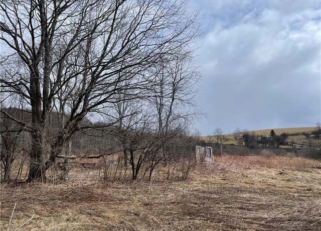 Property at Lot #20.15 Lebanon Rd, Lebanon, NY 13332