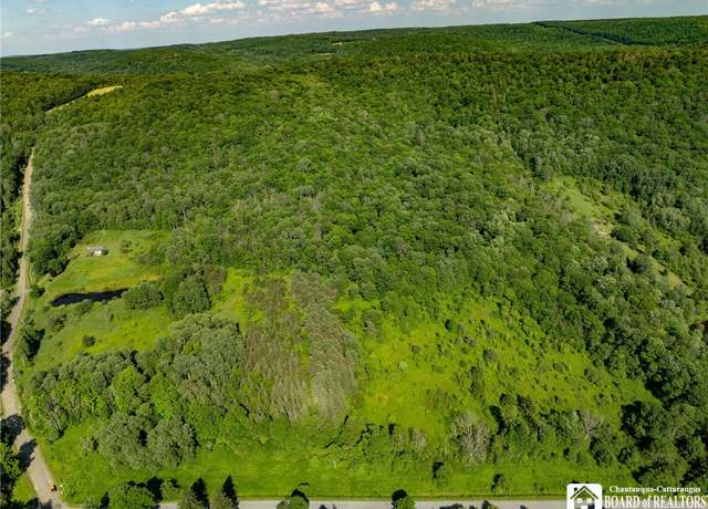 Property at 0 Morgan Hollow Rd, Franklinville, NY 14737