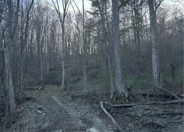 Property at 0 Markle Hollow Rd, Big Flats, NY 14814