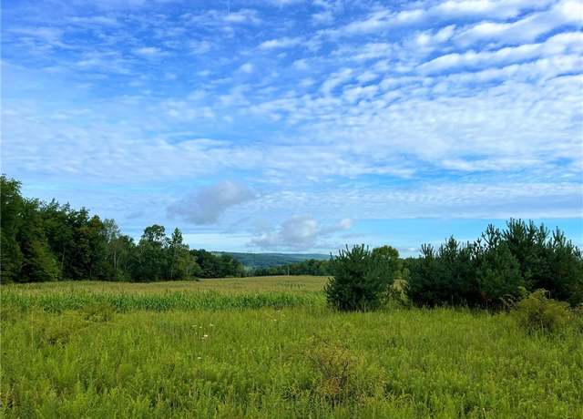 Property at 7800 W Hill Rd, Mansfield, NY 14719